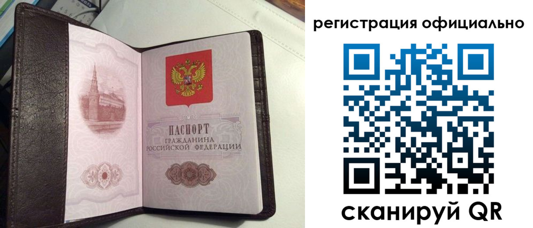 прописка ребенка в Зернограде