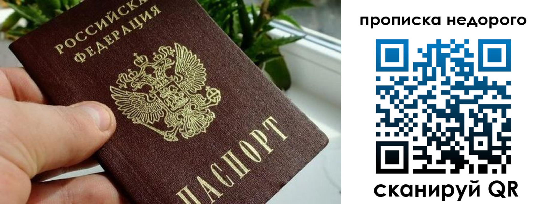 прописка для кредита в Зернограде